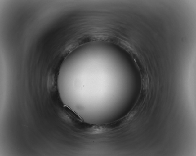 X0000086720764200704201626