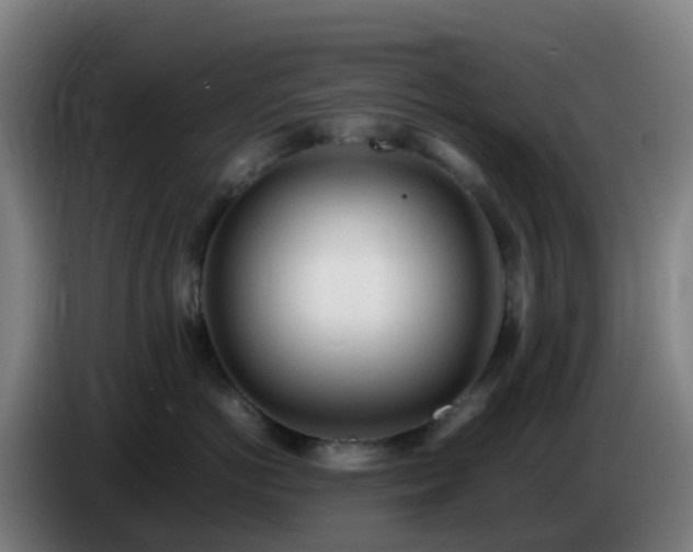 X0000086720766200704201626