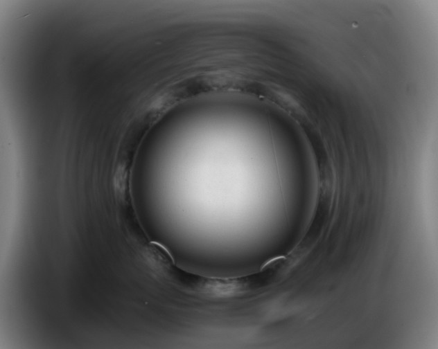 X0000086720767200704201626