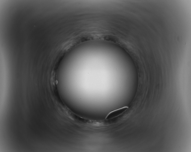 X0000086720768200704201626