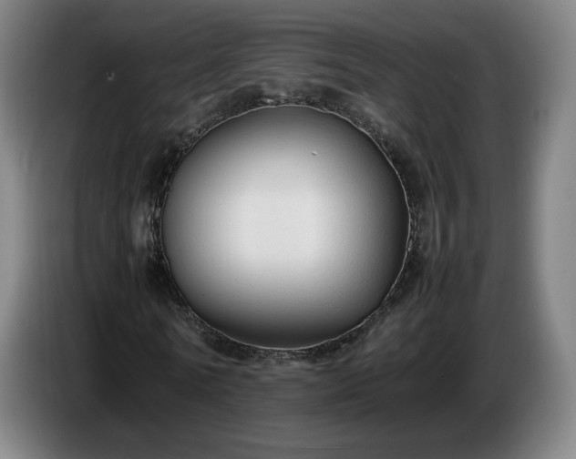 X0000086720770200704201626
