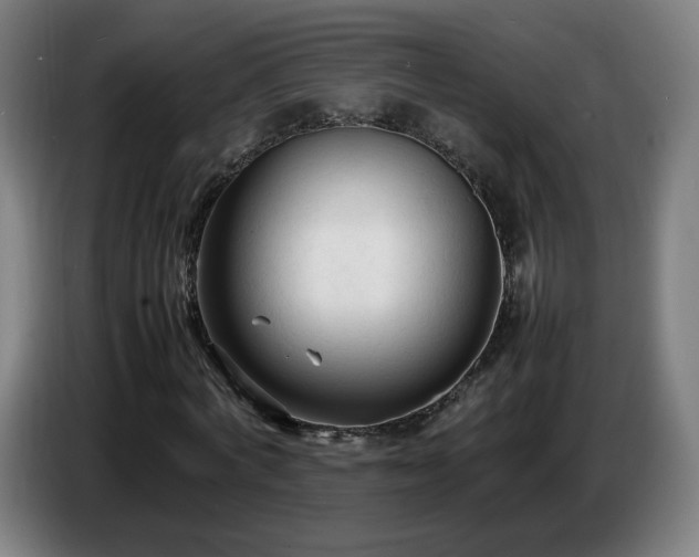 X0000086720772200704201626