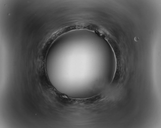 X0000086720773200704201626