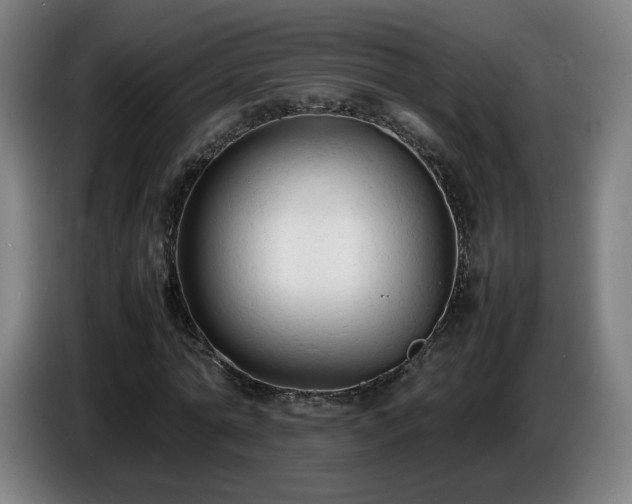 X0000086720774200704201626