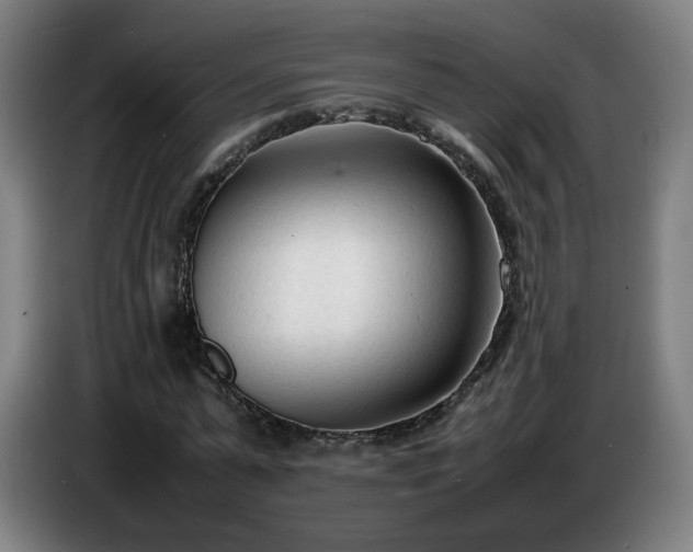 X0000086720775200704201626