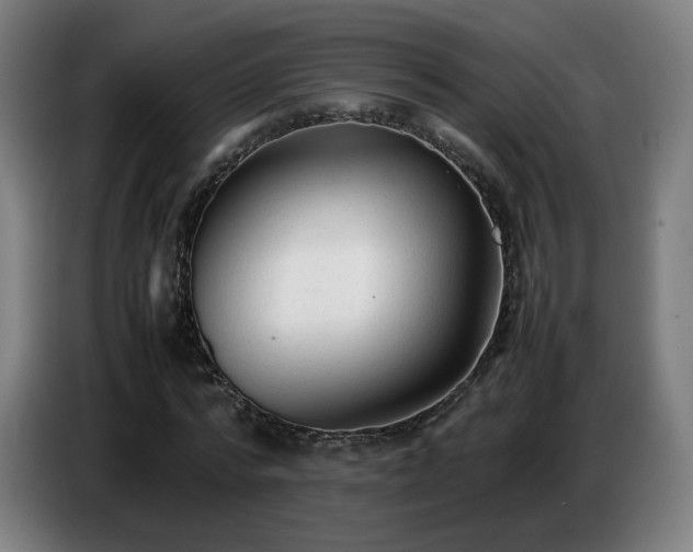 X0000086720776200704201626
