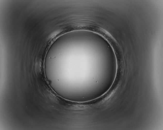X0000086720777200704201626