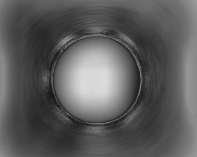 X0000086720778200704201626