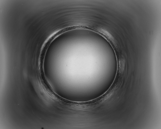 X0000086720780200704201626