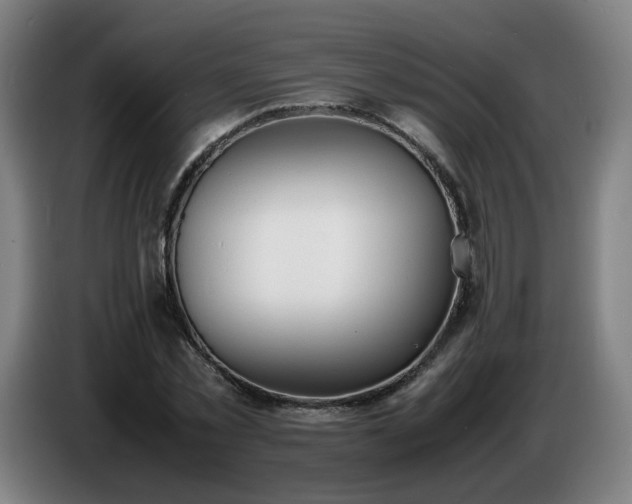 X0000086720781200704201626
