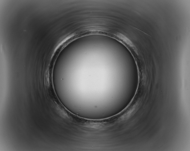 X0000086720782200704201626