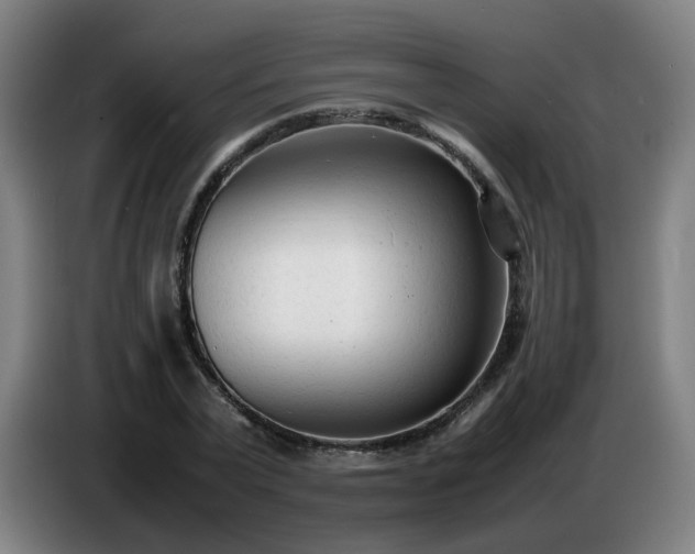 X0000086720783200704201626