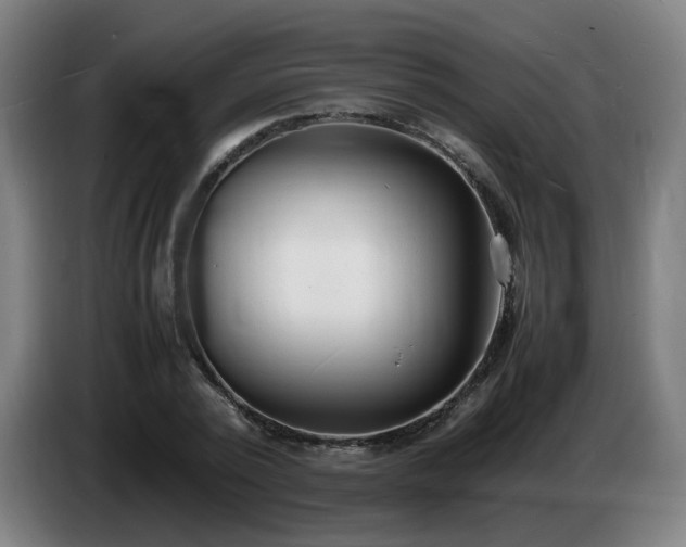 X0000086720784200704201626