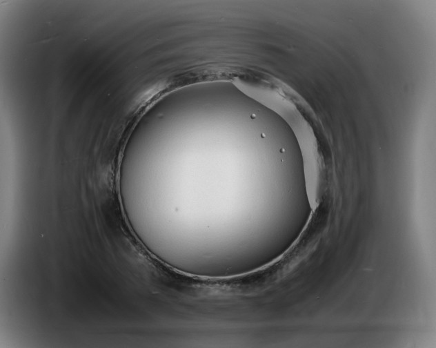 X0000086720785200704201626