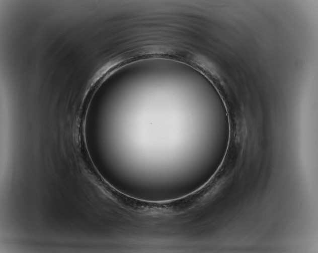 X0000086720786200704201625