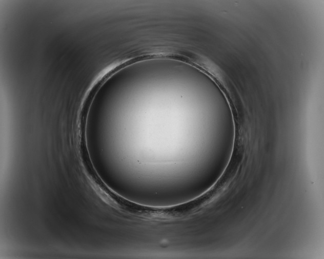 X0000086720787200704201625