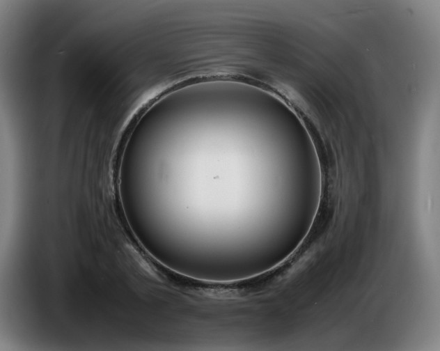X0000086720789200704201625