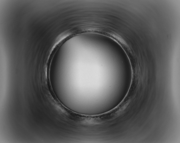 X0000086720790200704201625