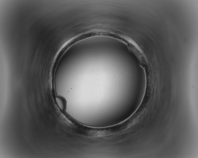 X0000086720791200704201625