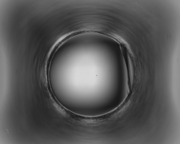 X0000086720792200704201625