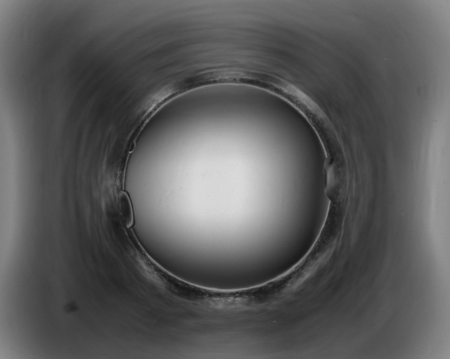 X0000086720793200704201625