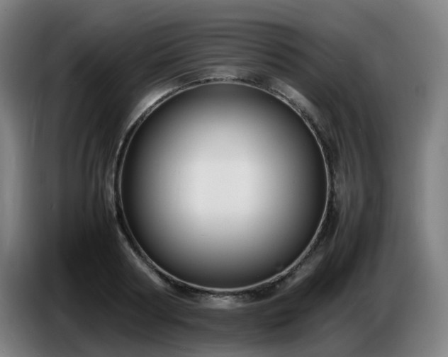 X0000086720794200704201625