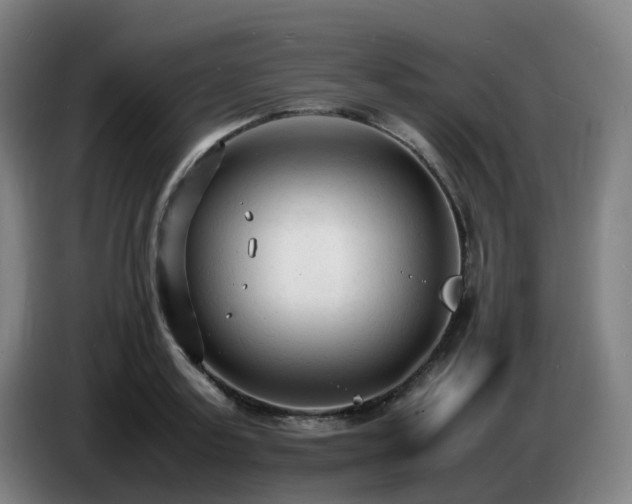 X0000086720795200704201625
