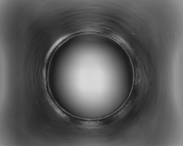 X0000086720796200704201625