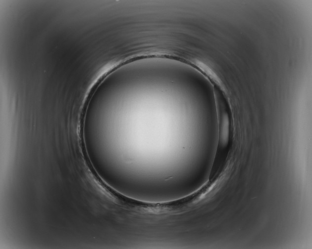 X0000086720797200704201625