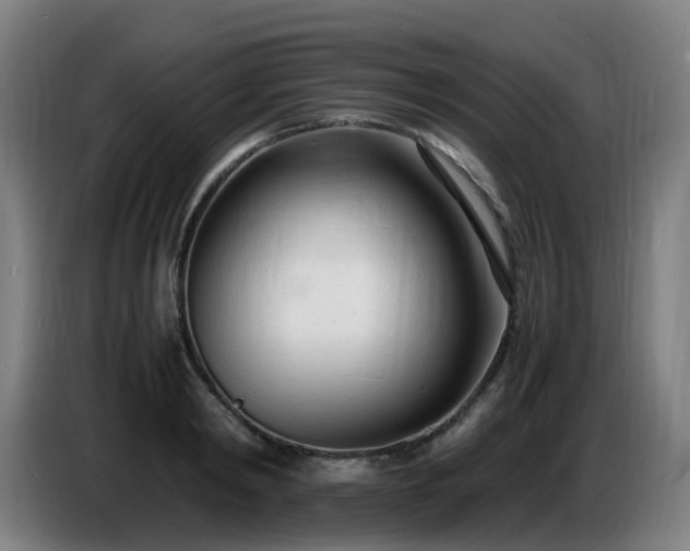 X0000086720798200704201625