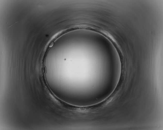 X0000086720799200704201625