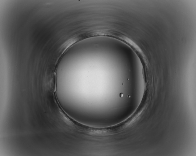 X0000086720801200704201625
