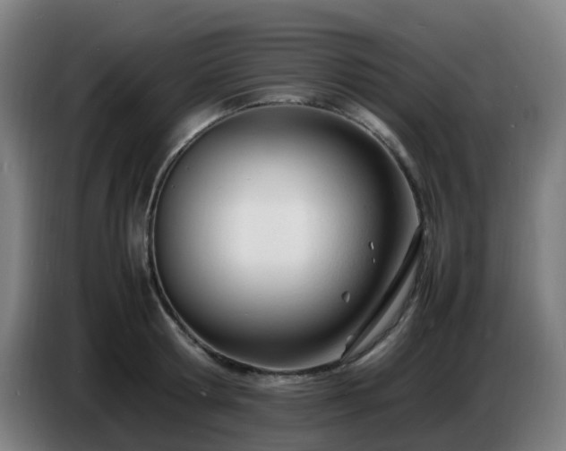 X0000086720802200704201625