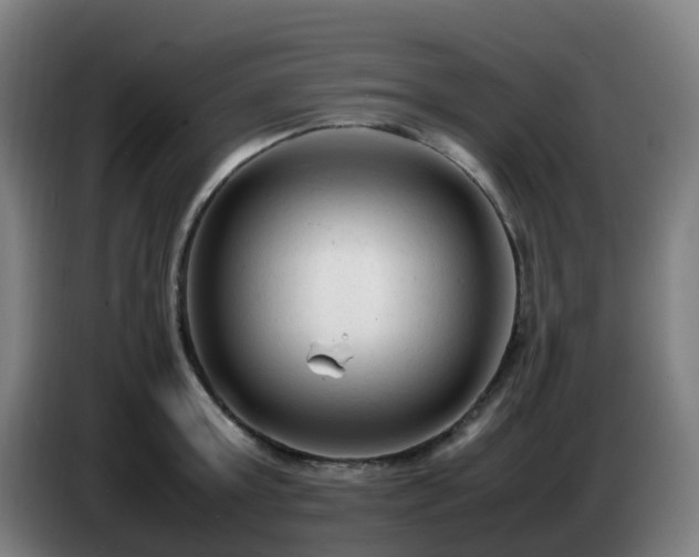 X0000086720803200704201625