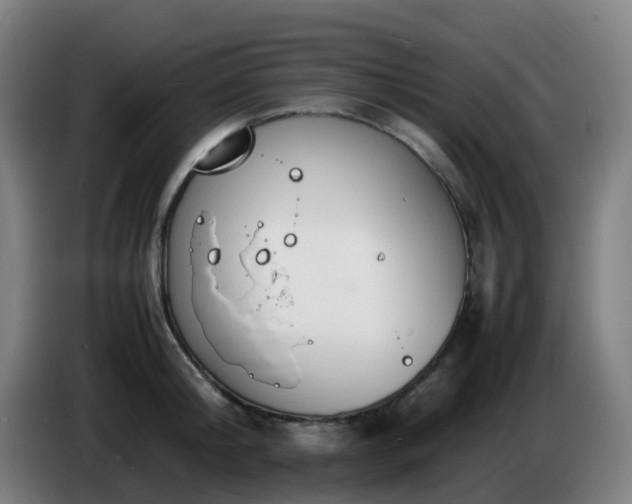 X0000086720804200704201625