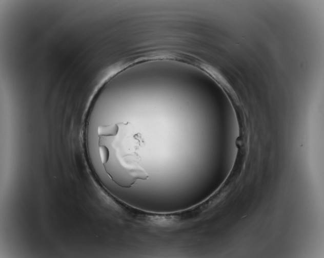 X0000086720805200704201625