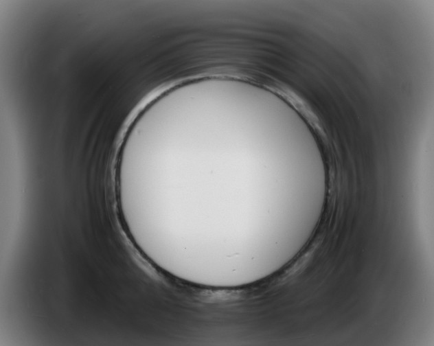 X0000086720808200704201625