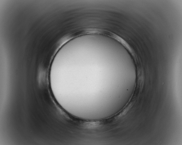 X0000086720810200704201625