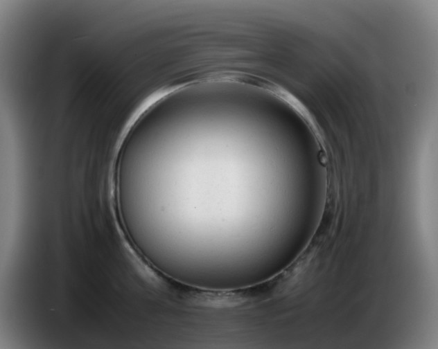 X0000086720811200704201625