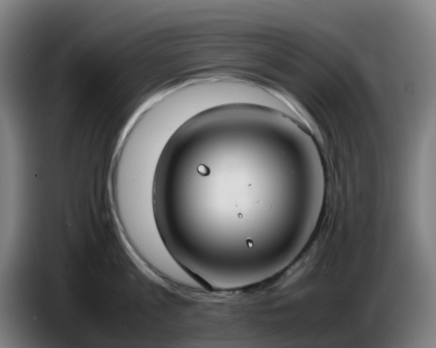 X0000086720813200704201625