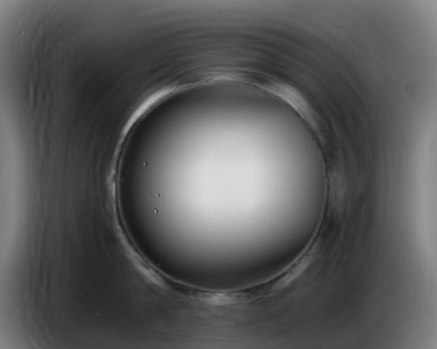 X0000086720814200704201625