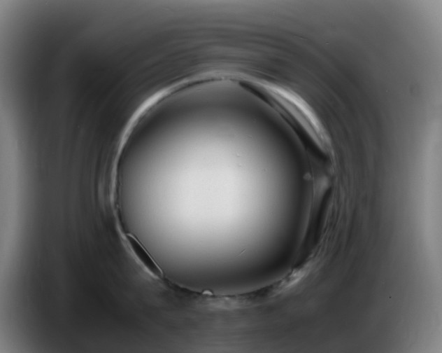 X0000086720815200704201625