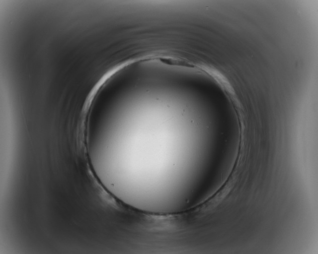 X0000086720816200704201625