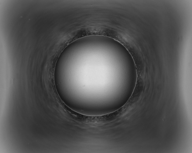 X0000086720817200704201624