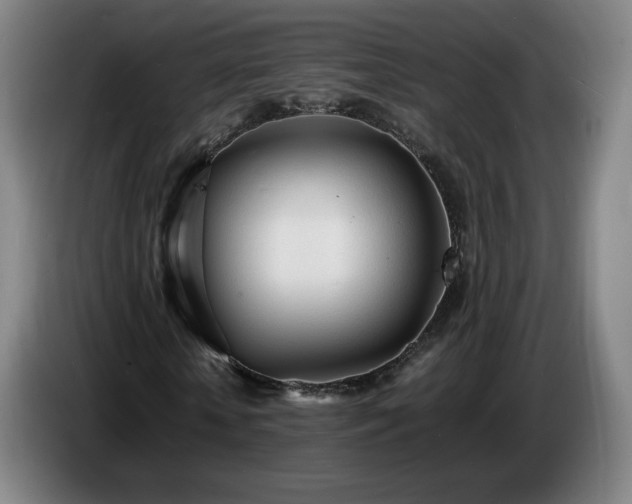 X0000086720818200704201625