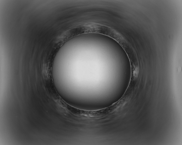X0000086720819200704201625