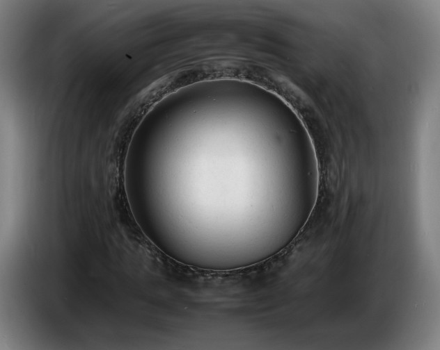 X0000086720821200704201625