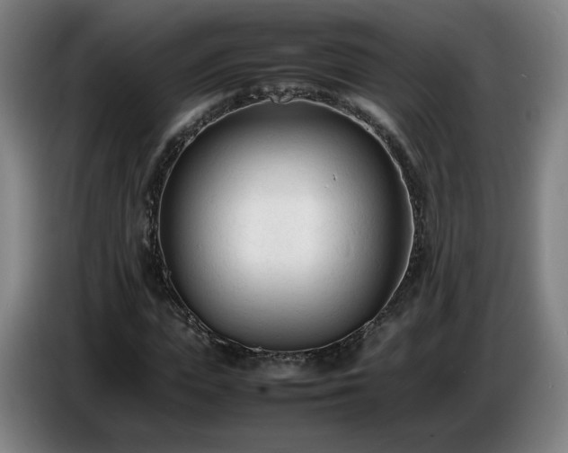 X0000086720823200704201625