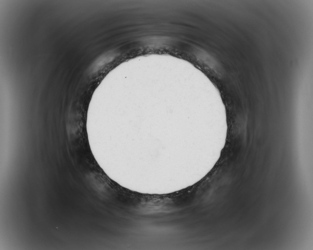 X0000086720824200704201625