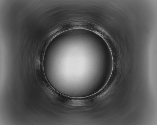 X0000086720825200704201625